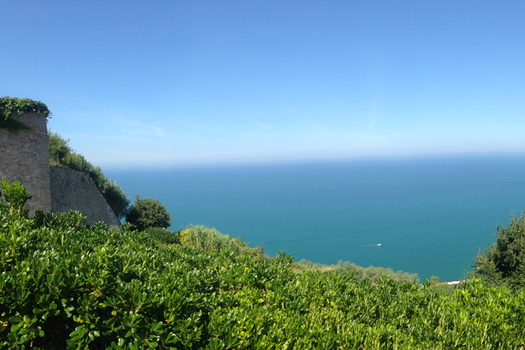 San Bartolo National Park